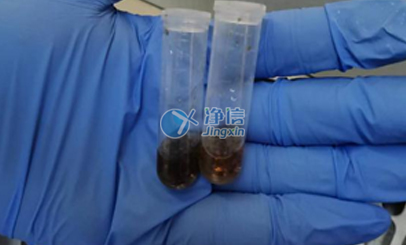 上海凈信高通量研磨儀能否助力蟲(chóng)媒病毒研究實(shí)驗(yàn)？