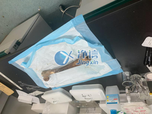 液氮冷凍研磨機(jī)破碎骨頭牙齒提取DNA實驗全過程！