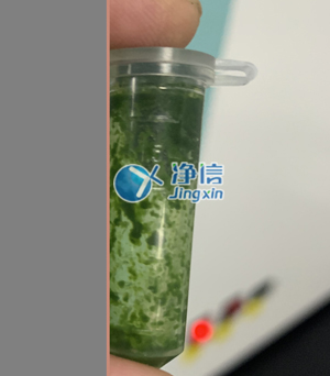 冷凍研磨儀在對甘蔗葉片提取DNA實驗中研磨樣本效果如何？