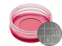 易必迪ibidi 細(xì)胞定位格子培養(yǎng)皿μ-Dish 35 mm high， glass bottom Grid-500