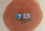 實驗室常用研磨儀器是什么？組織研磨儀常用嗎？